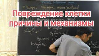 Патофизиология. Повреждение клетки-1 часть. Этиология и патогенез.