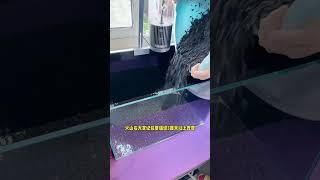 From Drab to Fab: Watch Us Work Magic with Volcanic Stones in a New Fish Tank!