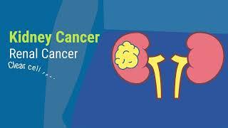 Kidney Cancer | American Kidney Fund