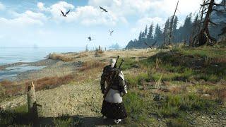 This beach hides secrets that I hadn't noticed before - The Witcher 3