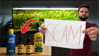 Anti Algae Chemicals Are a SCAM & 9 Natural Alternatives to Get Rid of Algae