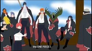 The Akatsuki in One piece