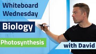 Leaving Cert Biology  - Photosynthesis - Energy Carriers