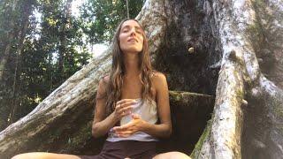 Light Language Song from Noya Rao | Master Plant Transmission | Amazonia 