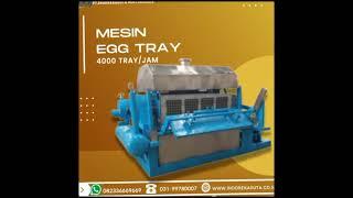 Mesin egg tray kapasitas 4000 pcs per jam