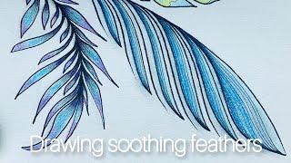 Drawing soothing feathers