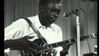 1969 - John Lee Hooker - Boom Boom (Live Video)