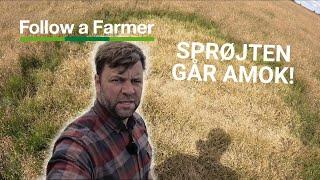 VILD SPRØJTE OG VOLDSOM HVIDKÅL: Troels gør status! - Follow a Farmer, S3:E4