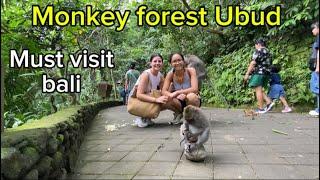 Monkey Forest Ubud bali // Bali Exploring Tours