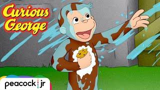 Pool Problems | CURIOUS GEORGE