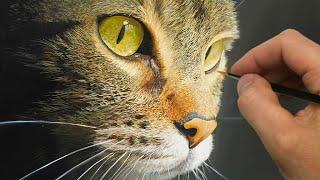 Painting a Cat! | Episode 201