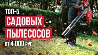 ТОП-5 Садовых пылесосов от 4000 рублей. Какую воздуходувку выбрать?