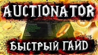 AUCTIONATOR | ГАЙД | WORLD OF WARCRAFT THE BURNING CRUSADE CLASSIC