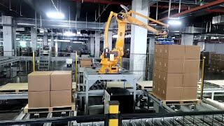 Automatic carton packaging line with robot palletizer|ZSHY 2023