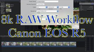 8k RAW Workflow (Canon R5)