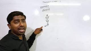 Transport In Plant lecture 1