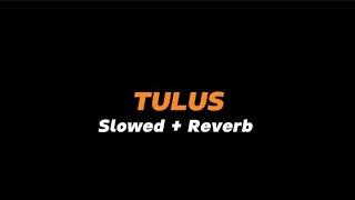 TULUS  -  Slowed + Reverb (Full Lirik)