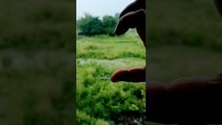 Maine apna Dil de Diya #song #hindisong #viralvideo  #vnanda #music #short#youtubeshorts #trending