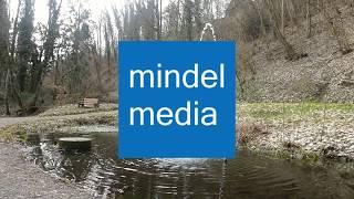 Mindelmedia News - Dein regionales Nachrichtenportal