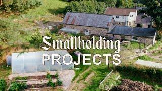 Revitalising a 1700s Smallholding - Stone Wall & Polytunnel Build