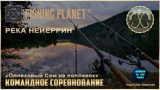 Fishing Planet - Река Нейеррин | Спонсируемое командное соревнование | Оливковый Сом на поплавок.