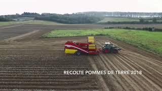 EVO 290 GRIMME
