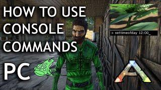 How to Use Console Commands on PC Single Player - Ark Survival Evolved - Cheats