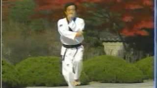 10. Taekwondo Poomsae Kuemgang (WTF)