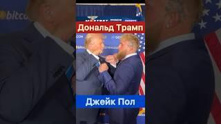 Дональд Трамп vs Джейк Пол. Бой по кулачке.