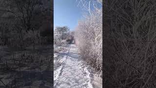 Чего не работаем?.