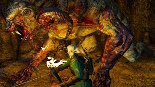 Witcher 3: Howler the Chort Boss Fight (Hard Mode) (4K 60fps)