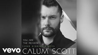 Calum Scott - You Are The Reason (John Gibbons Remix/Audio)