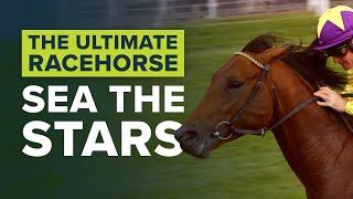 SEA THE STARS: THE WORLD'S BEST RACEHORSE?