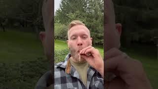 Very small cigar  #cigar #cigars #nature #fyp #review #men