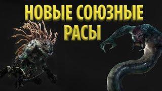 ТОП 10 НОВЫХ СОЮЗНЫХ РАС, КОТОРЫЕ МОГУТ ПОЯВИТЬСЯ В WORLD OF WARCRAFT