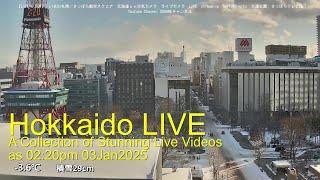 Hokkaido LIVE: A Collection of Stunning Live Videos from Japan's Northern Gem