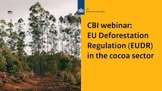EU Deforestation Regulation EUDR in the cocoa sector