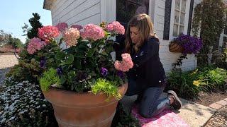 A Little Chicken Coop Flower Bed Revamp & Harvesting Red Pontiac Potatoes!  // Garden Answer