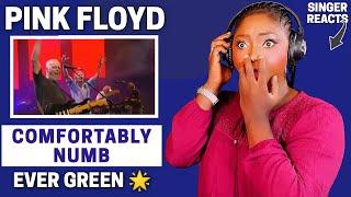 SINGER REACTS | PINK FLOYD - COMFORTABLY NUMB REACTION!!!