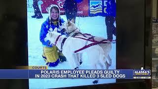 Polaris employee pleads guilty in 2023 crash that killed 3 sled dogs