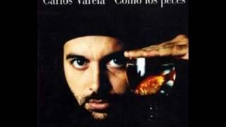 Carlos Varela - la politica no cabe en la azucarera