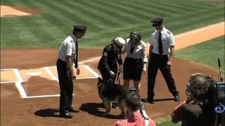 2012/05/13 Cpl. Leavey and Sgt. Rex honored