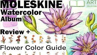 Moleskine Art Collection Watercolor Album Sketchbook Review, Flower Color Guide Book, Art Block Tips