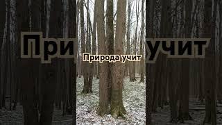 Уроки от ПриРоды. #оздоровление #суджок #улыбки