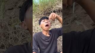 Survival skill: water purification in the 🪱wild#camping #survival #outdoors#bushcraft