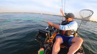 Solid Early Morning Action on the Western LI Sound! Kayak Fishing