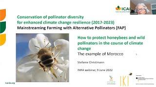 INRA Webinaire : “How to protect honeybees and wild pollinators in the course of climate change”