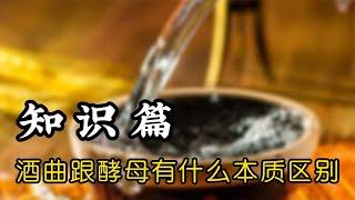 国内酿白酒用酒曲，国外酿酒用酵母，酵母和酒曲到底有什么区别？