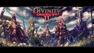 Divinity original Sin 2 (комната пыток, лицерез и маска фейна)