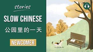 公园里的一天 | Slow Chinese Stories Newcomer | Chinese Listening Practice HSK 1/2